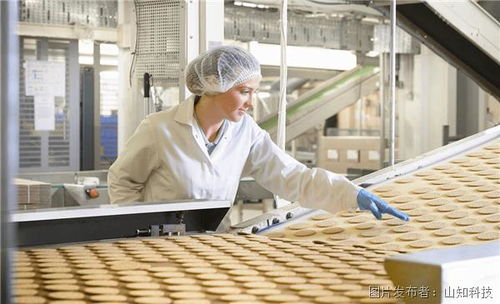食品級蒸汽發生器遠程維護 保障食品安全與設備高效運行的未來之路